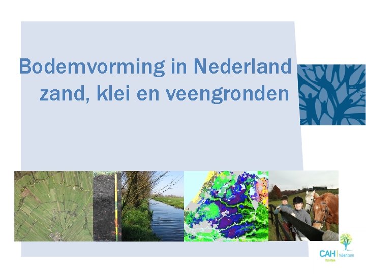 Bodemvorming in Nederland – zand, klei en veengronden 