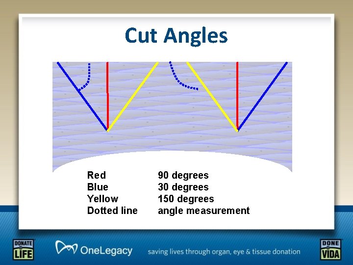 Cut Angles Red Blue Yellow Dotted line 90 degrees 30 degrees 150 degrees angle