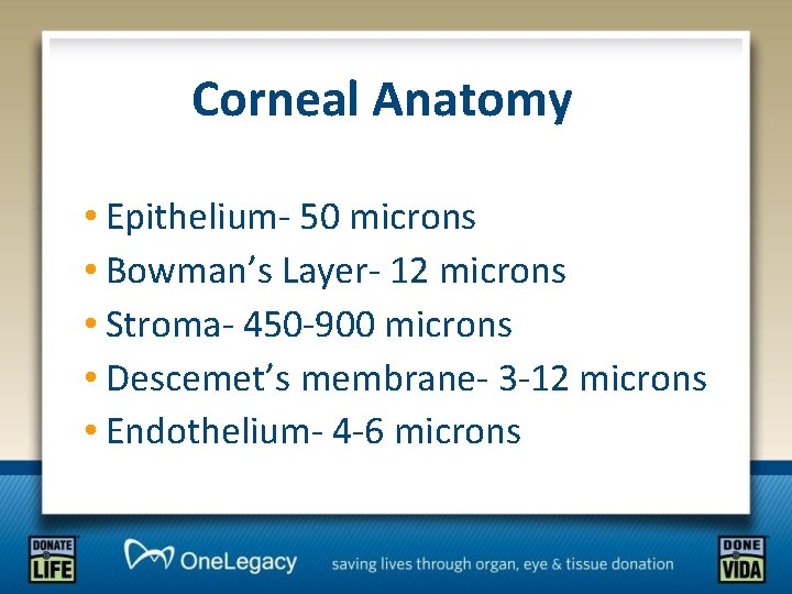 Corneal Anatomy • Epithelium- 50 microns • Bowman’s Layer- 12 microns • Stroma- 450