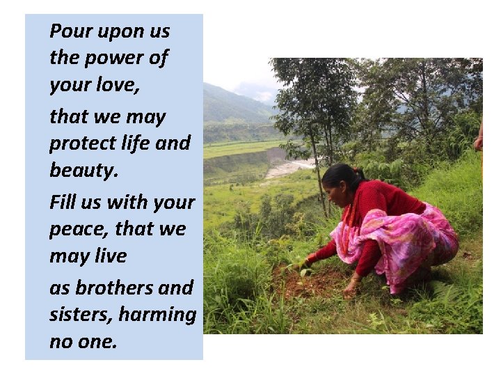 Pour upon us the power of your love, that we may protect life and