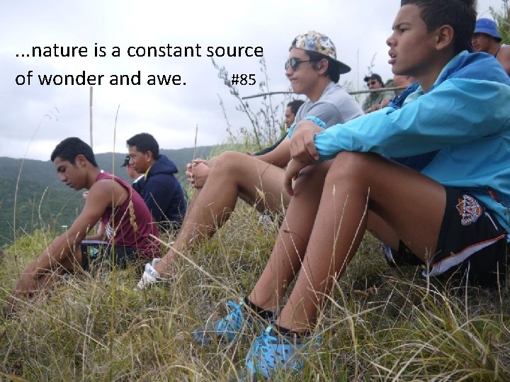 . . . nature is a constant source of wonder and awe. #85 