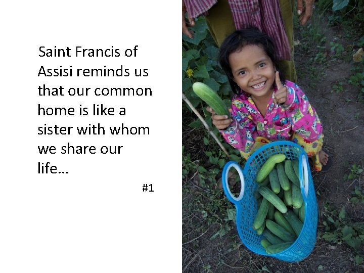 Saint Francis of Assisi reminds us that our common home is like a sister