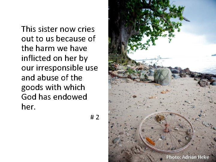 This sister now cries out to us because of the harm we have inflicted