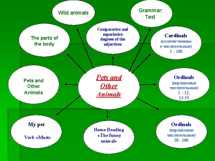 Grammar: Test test Wild animals The parts of the body Pets and Other Animals