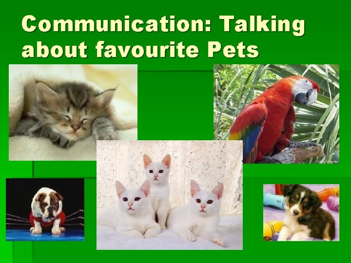 Communication: Talking about favourite Pets 