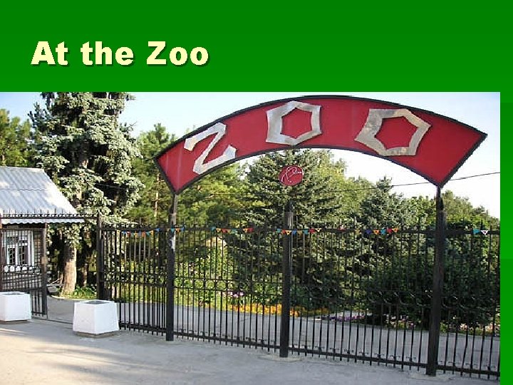 At the Zoo 