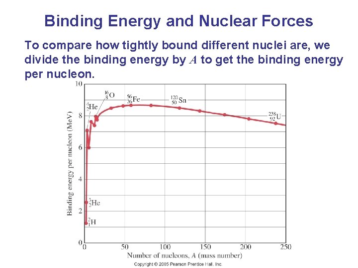 Binding Energy and Nuclear Forces To compare how tightly bound different nuclei are, we