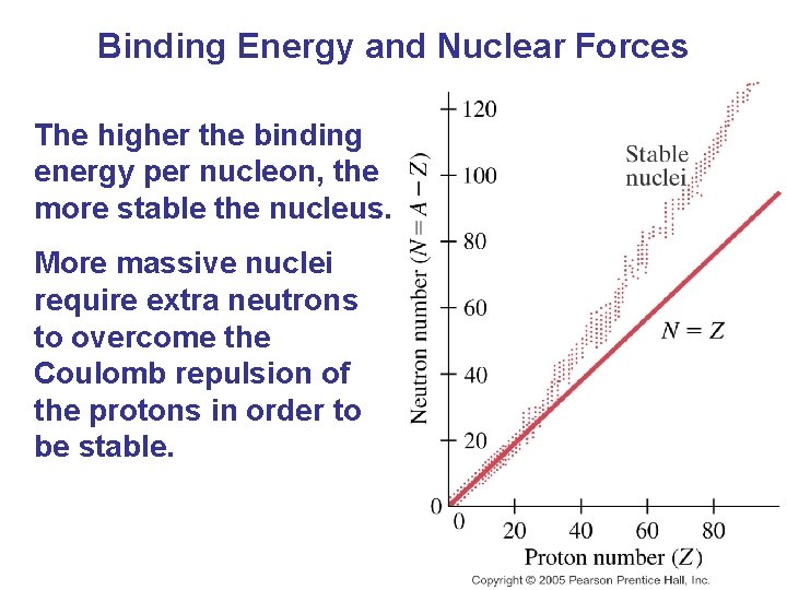 Binding Energy and Nuclear Forces The higher the binding energy per nucleon, the more