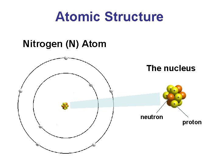 Atomic Structure Nitrogen (N) Atom The nucleus neutron proton 