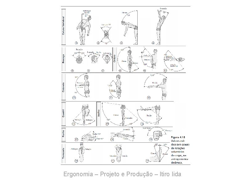 Ergonomia – Projeto e Produção – Itiro Iida 