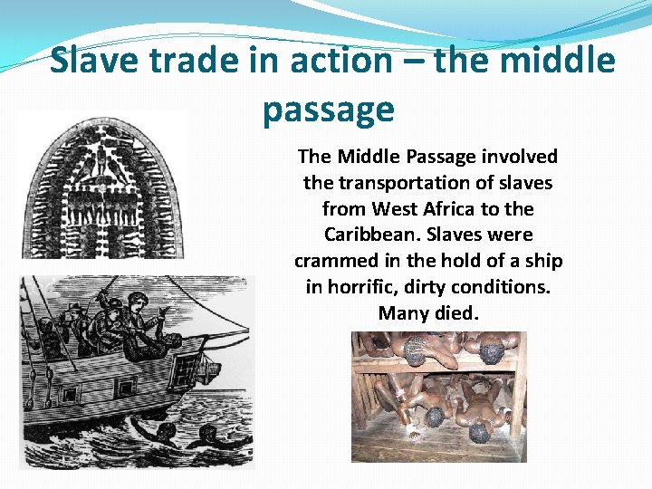 Slave trade in action – the middle passage The Middle Passage involved the transportation