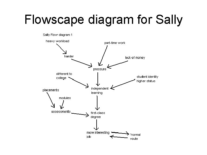 Flowscape diagram for Sally 