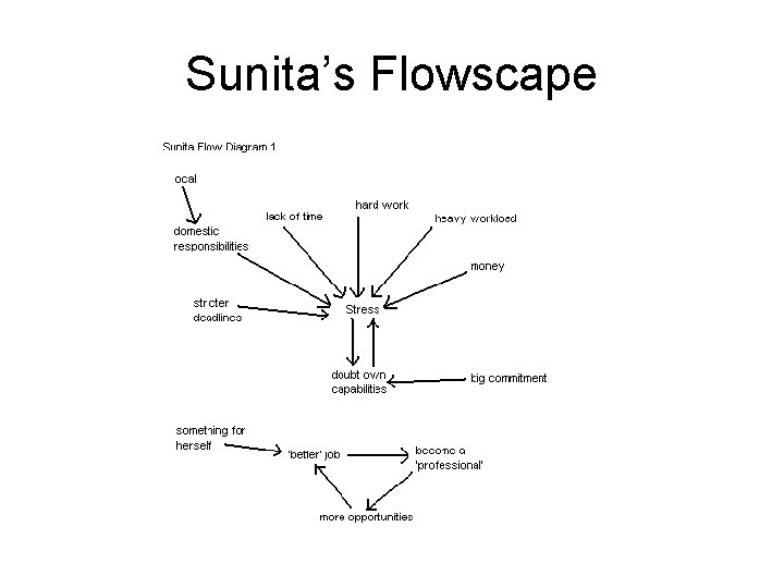 Sunita’s Flowscape 