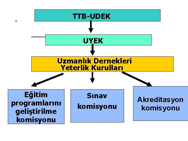 TTB-UDEK UYEK Uzmanlık Dernekleri Yeterlik Kurulları Eğitim programlarını geliştirilme komisyonu Sınav komisyonu Akreditasyon komisyonu