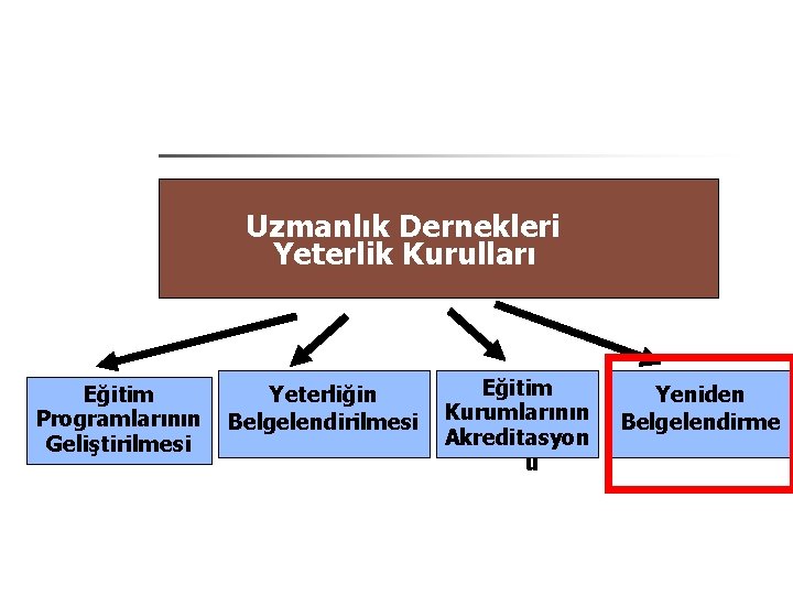 Uzmanlık Dernekleri Yeterlik Kurulları Eğitim Programlarının Geliştirilmesi Yeterliğin Belgelendirilmesi Eğitim Kurumlarının Akreditasyon u Yeniden