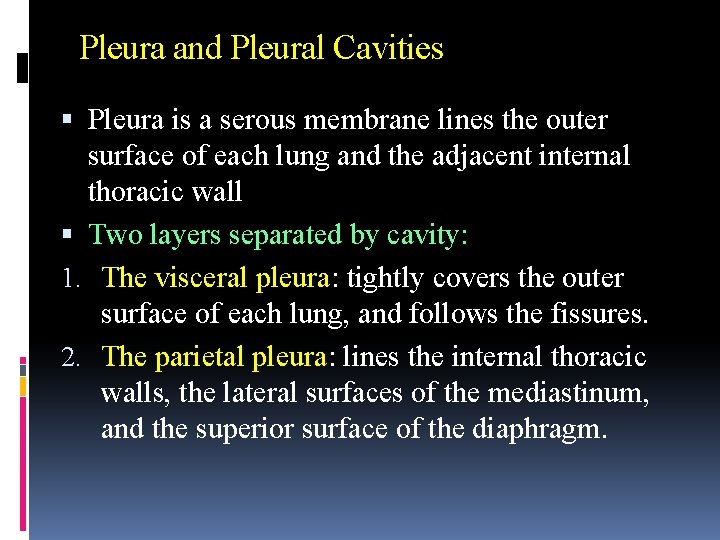 Pleura and Pleural Cavities Pleura is a serous membrane lines the outer surface of