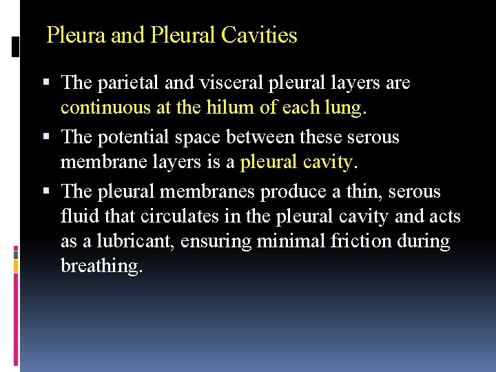 Pleura and Pleural Cavities The parietal and visceral pleural layers are continuous at the