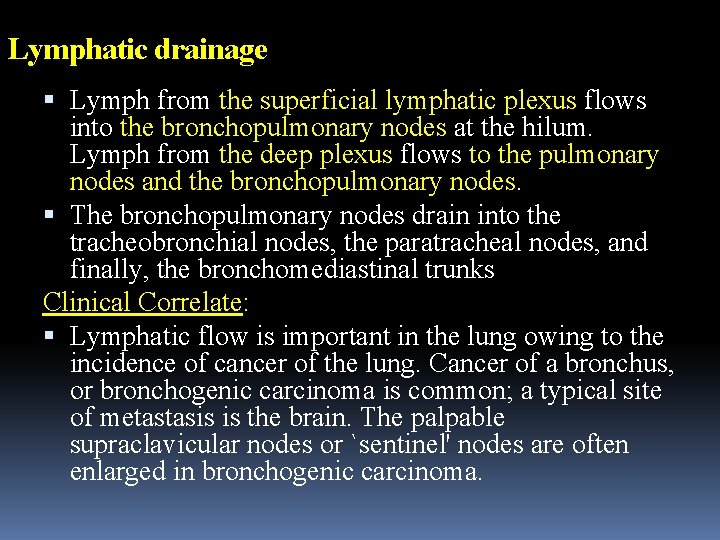 Lymphatic drainage Lymph from the superficial lymphatic plexus flows into the bronchopulmonary nodes at