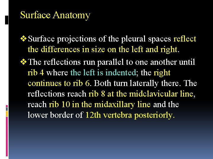 Surface Anatomy v Surface projections of the pleural spaces reflect the differences in size
