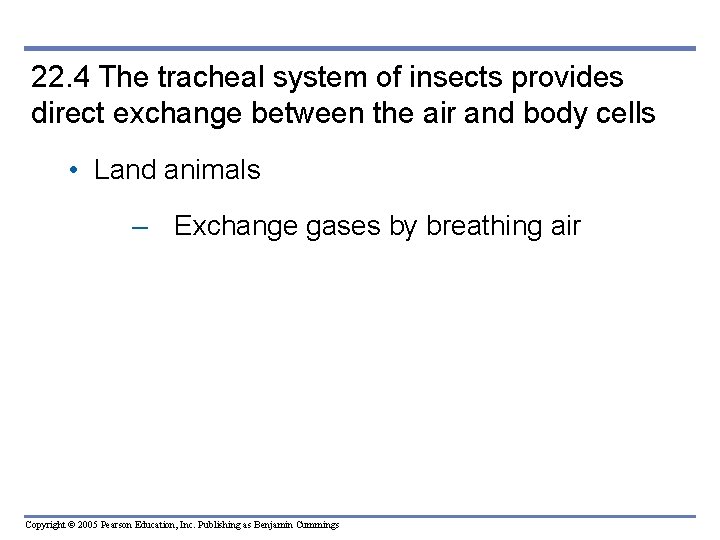 22. 4 The tracheal system of insects provides direct exchange between the air and