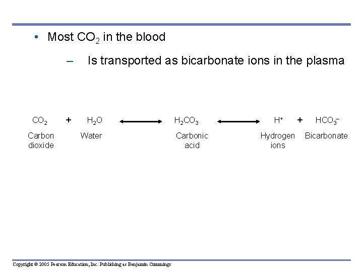  • Most CO 2 in the blood CO 2 Carbon dioxide – Is