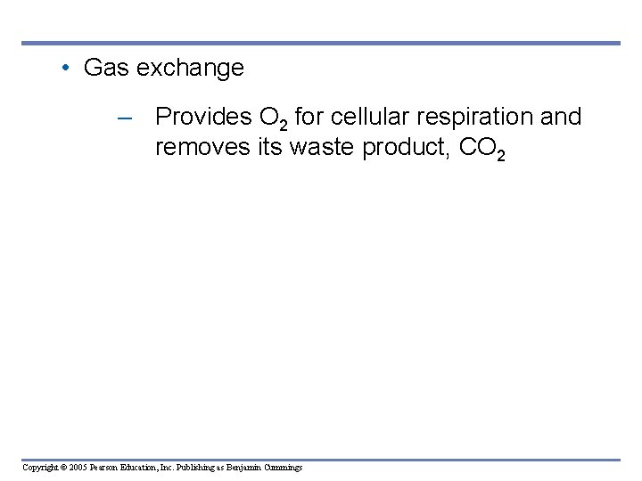  • Gas exchange – Provides O 2 for cellular respiration and removes its