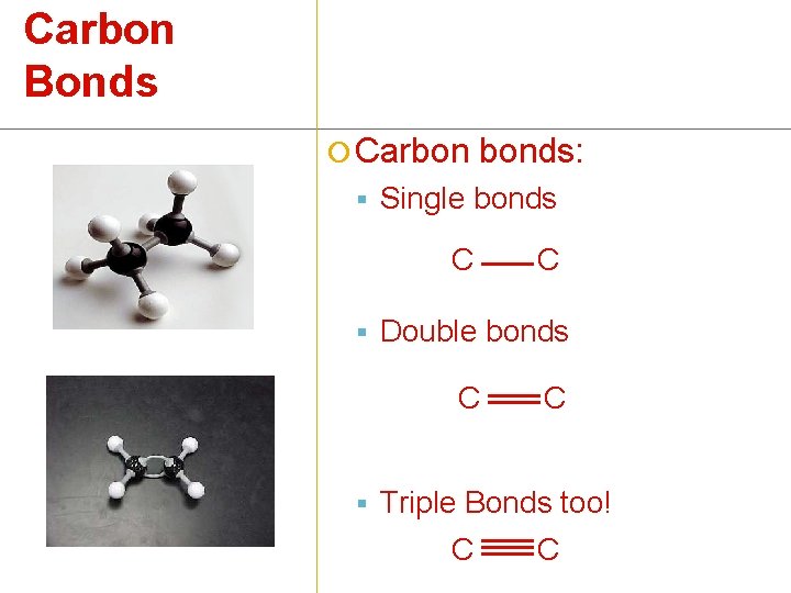 Carbon Bonds ¡ Carbon bonds: § Single bonds C C § Double bonds C