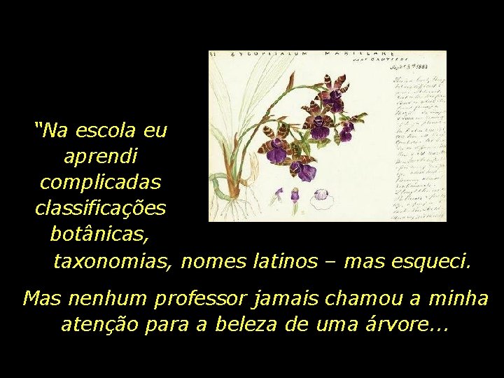 “Na escola eu aprendi complicadas classificações botânicas, taxonomias, nomes latinos – mas esqueci. Mas