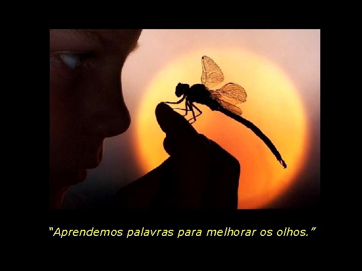 “As palavras só têm sentido se nos ajudam a ver o mundo melhor. Aprendemos