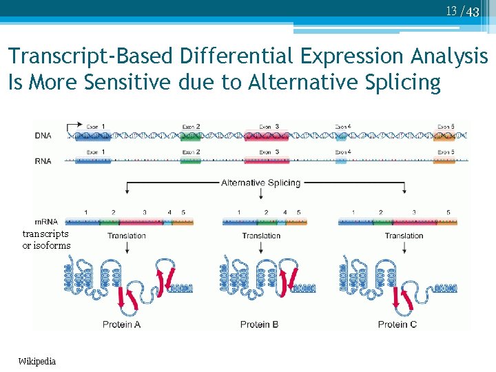 13 /43 Transcript-Based Differential Expression Analysis Is More Sensitive due to Alternative Splicing transcripts