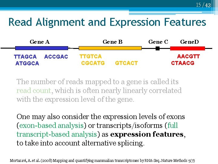 15 /43 Read Alignment and Expression Features Gene A TTAGCA ACCGAC ATGGCA Gene B