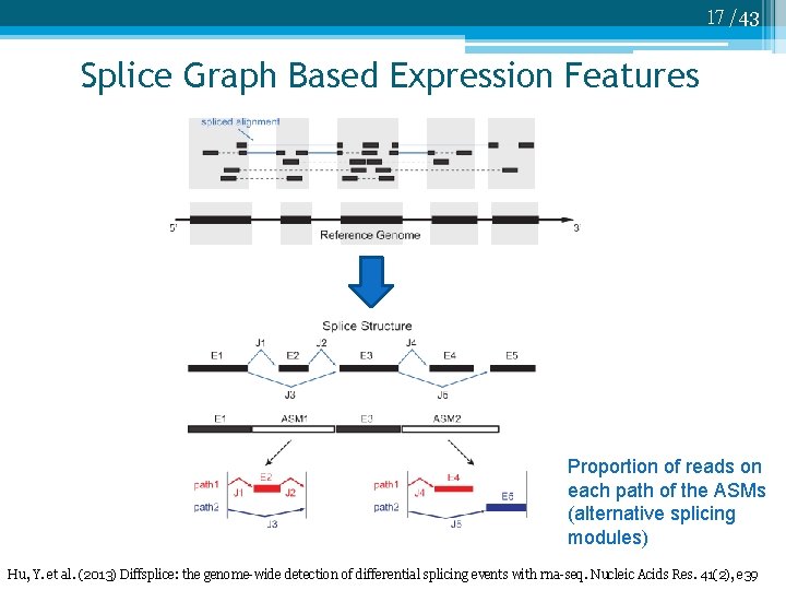 17 /43 Splice Graph Based Expression Features Proportion of reads on each path of