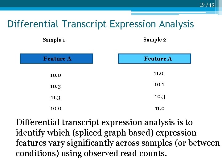 19 /43 Differential Transcript Expression Analysis Sample 1 Sample 2 Feature A 10. 0