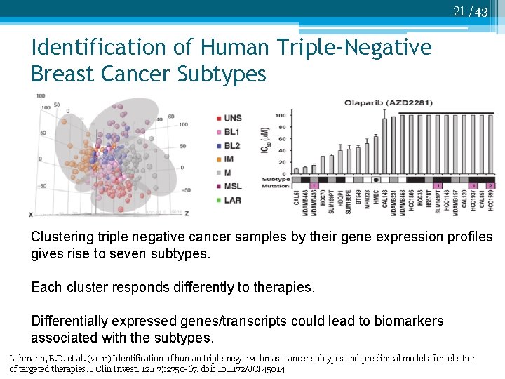 21 /43 Identification of Human Triple-Negative Breast Cancer Subtypes Clustering triple negative cancer samples