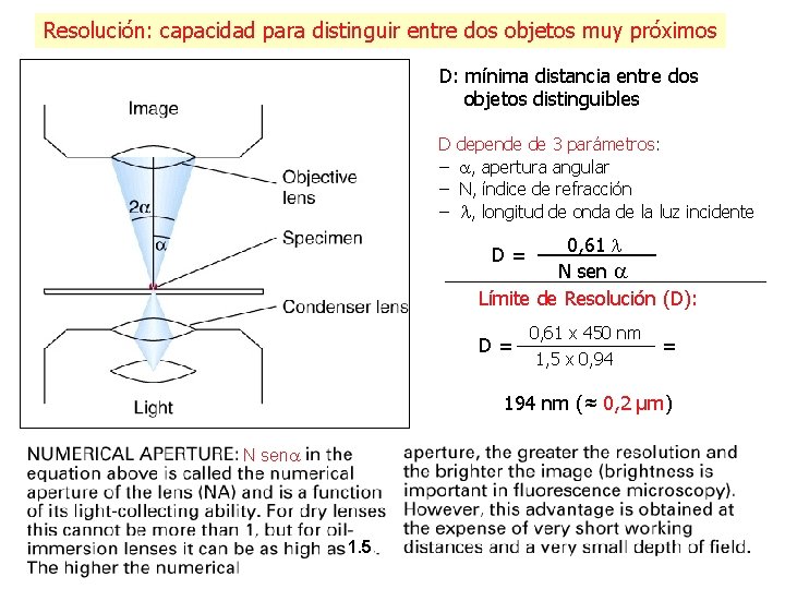 Resolución: capacidad para distinguir entre dos objetos muy próximos D: mínima distancia entre dos Resolución: capacidad para distinguir entre dos objetos muy próximos D: mínima distancia entre dos