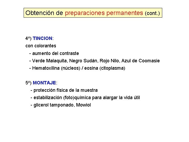 Obtención de preparaciones permanentes (cont. ) 4º) TINCION: con colorantes - aumento del contraste Obtención de preparaciones permanentes (cont. ) 4º) TINCION: con colorantes - aumento del contraste