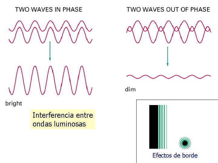 Interferencia entre ondas luminosas Efectos de borde Interferencia entre ondas luminosas Efectos de borde
