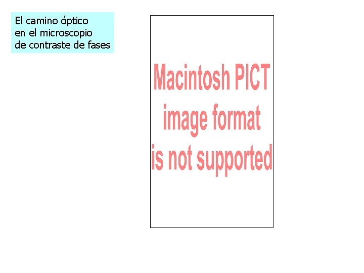 El camino óptico en el microscopio de contraste de fases El camino óptico en el microscopio de contraste de fases