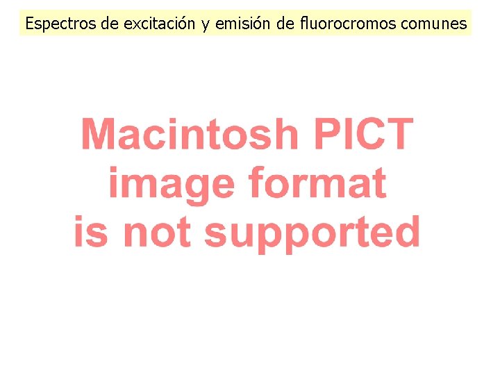 Espectros de excitación y emisión de fluorocromos comunes Espectros de excitación y emisión de fluorocromos comunes