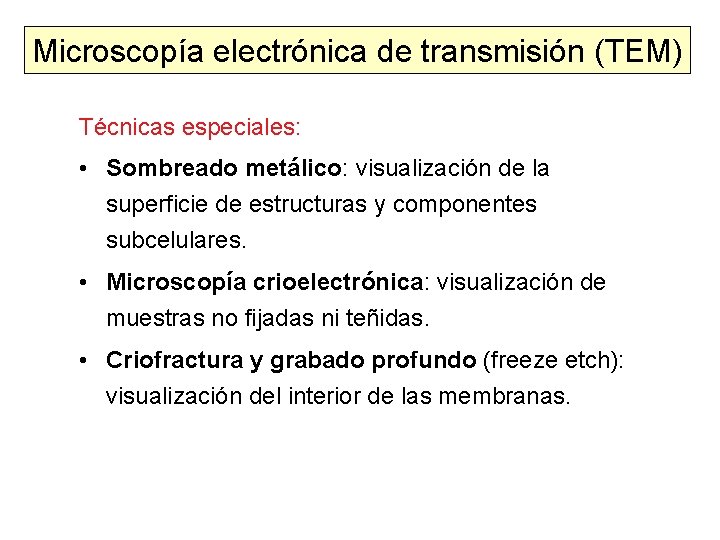 Microscopía electrónica de transmisión (TEM) Técnicas especiales: • Sombreado metálico: visualización de la superficie Microscopía electrónica de transmisión (TEM) Técnicas especiales: • Sombreado metálico: visualización de la superficie