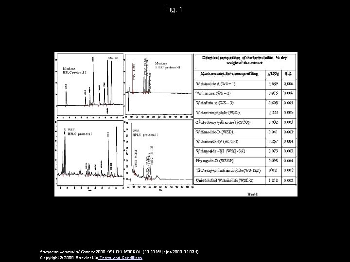 Fig. 1 European Journal of Cancer 2009 451494 -1509 DOI: (10. 1016/j. ejca. 2009.