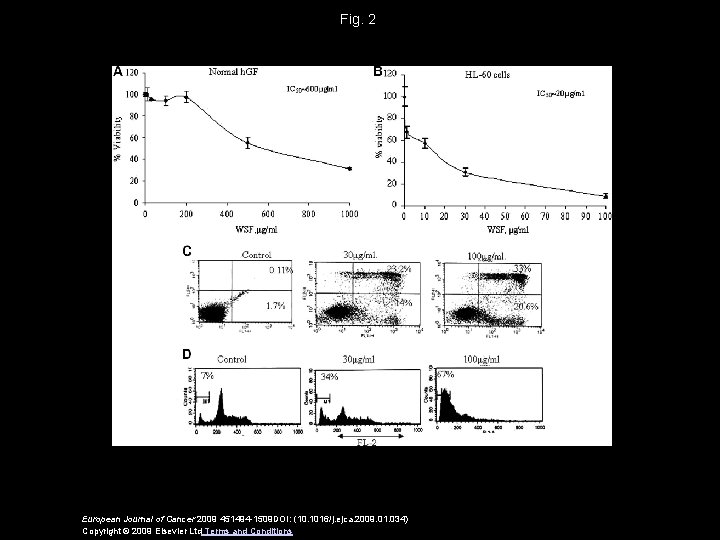 Fig. 2 European Journal of Cancer 2009 451494 -1509 DOI: (10. 1016/j. ejca. 2009.