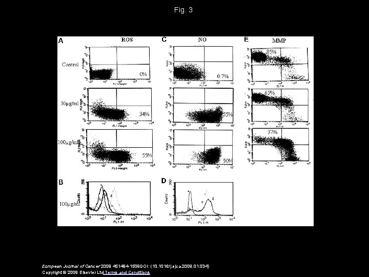 Fig. 3 European Journal of Cancer 2009 451494 -1509 DOI: (10. 1016/j. ejca. 2009.