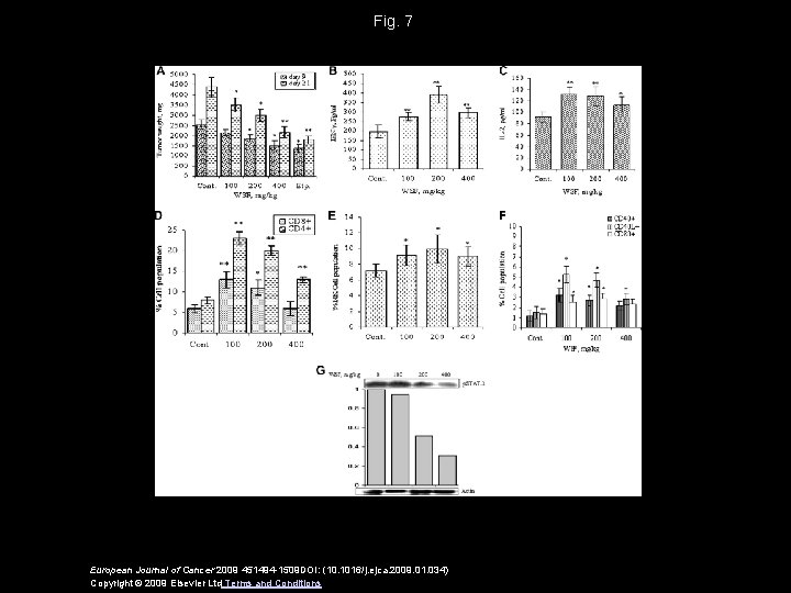 Fig. 7 European Journal of Cancer 2009 451494 -1509 DOI: (10. 1016/j. ejca. 2009.