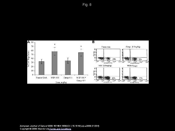 Fig. 8 European Journal of Cancer 2009 451494 -1509 DOI: (10. 1016/j. ejca. 2009.