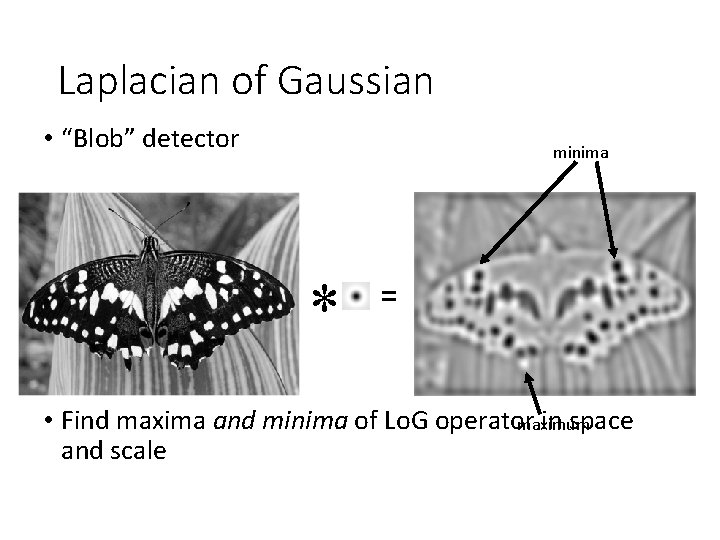 Laplacian of Gaussian • “Blob” detector minima * = • Find maxima and minima