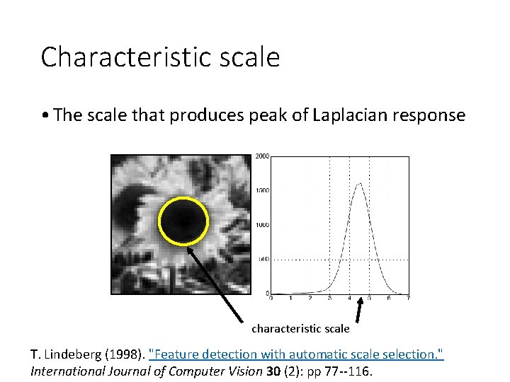 Characteristic scale • The scale that produces peak of Laplacian response characteristic scale T.