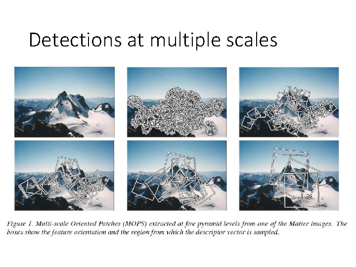 Detections at multiple scales 