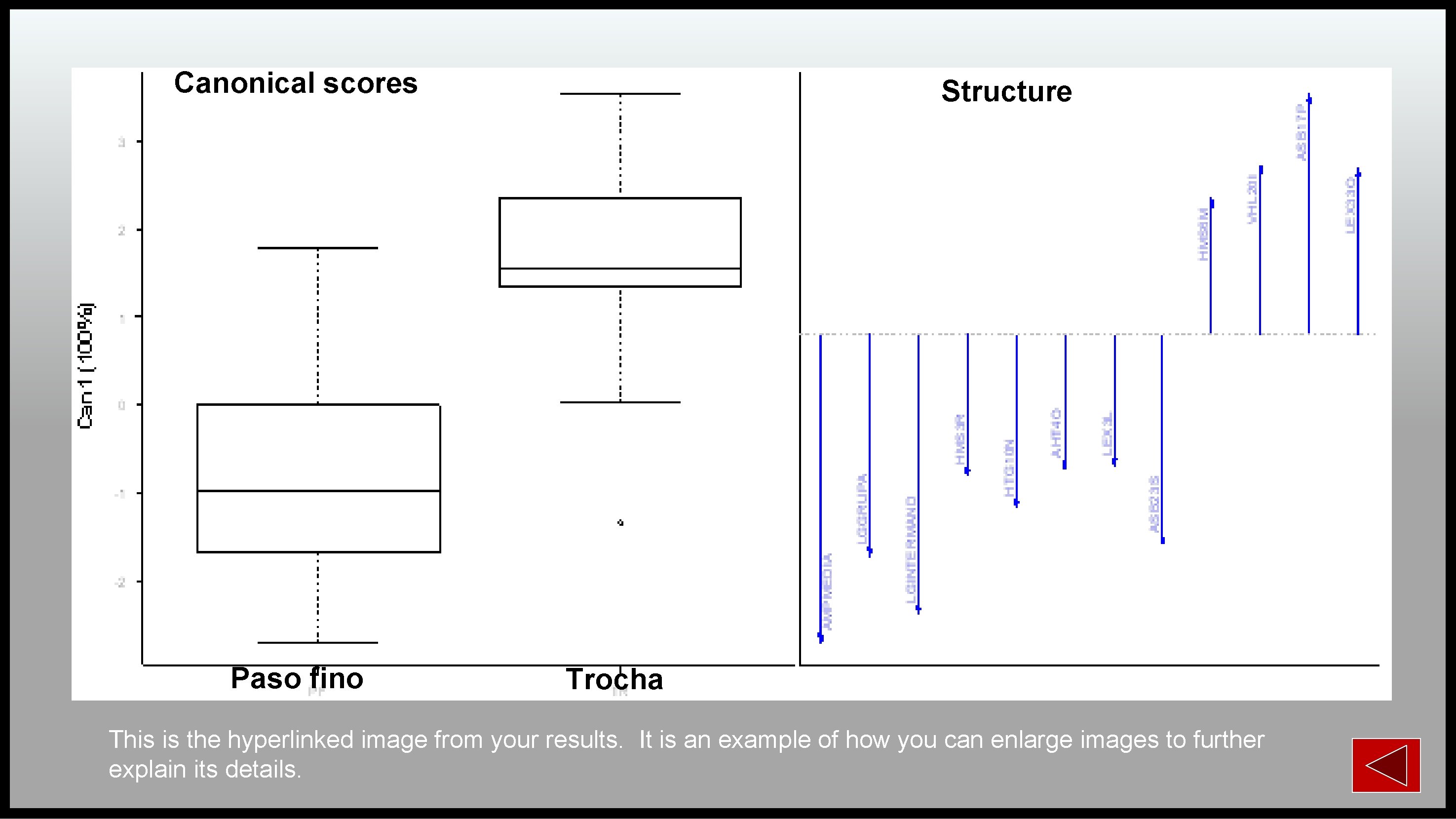 Canonical scores Paso fino Structure Trocha This is the hyperlinked image from your results.