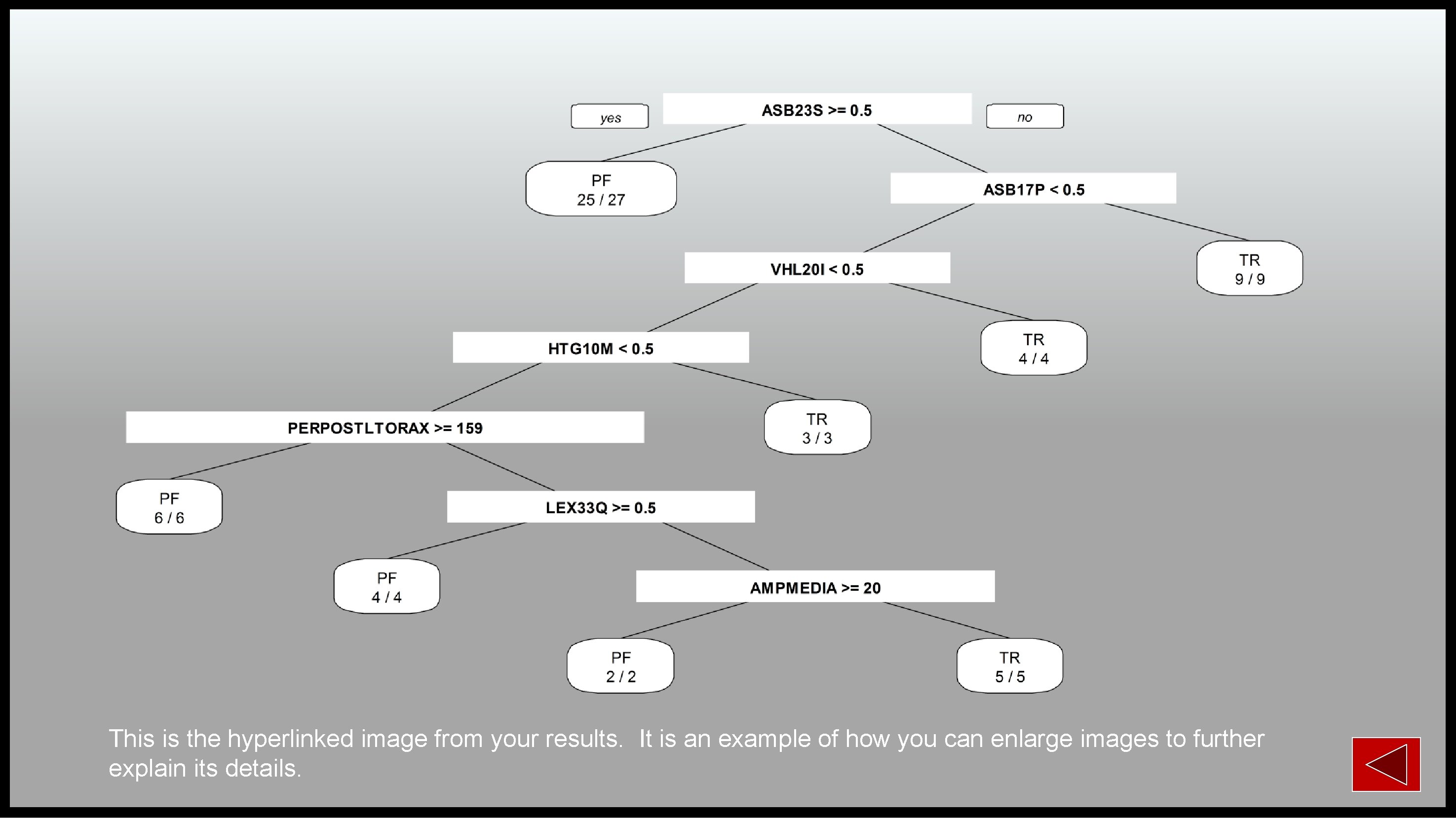 This is the hyperlinked image from your results. It is an example of how